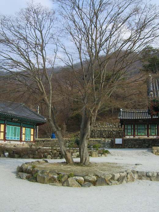 논산IC주유소 이미지
